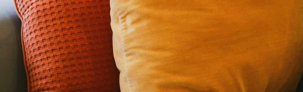 Pokémon Collection - Samuel Ashley